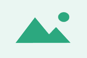 Chimera Tool Professional 12 Months Activation